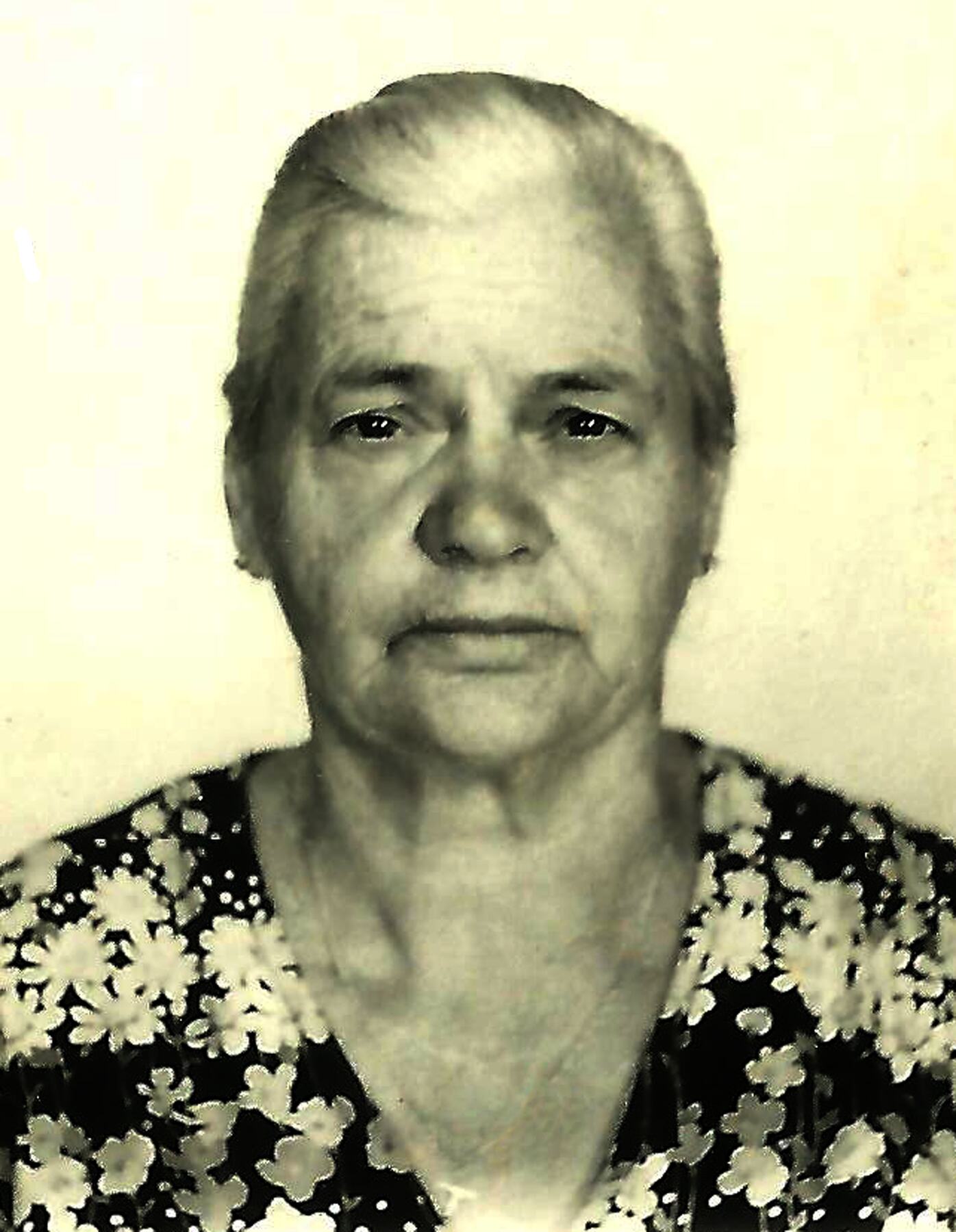 Landa Parteira